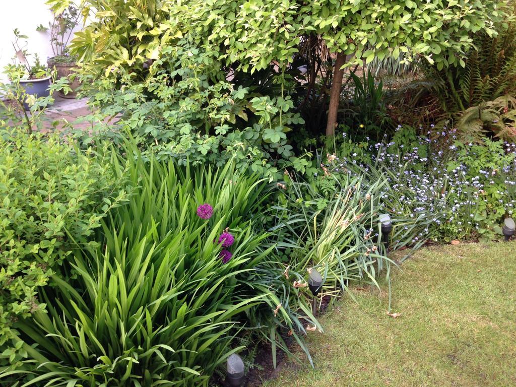 Willow Cottage B&B Yeadon Exterior foto